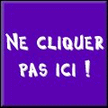 ne cliquer pas ici !